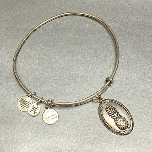 Alex and Ani Warmth Friendship Pineapple Adjustable Wire Silver Tone Bracelet - Picture 1 of 5
